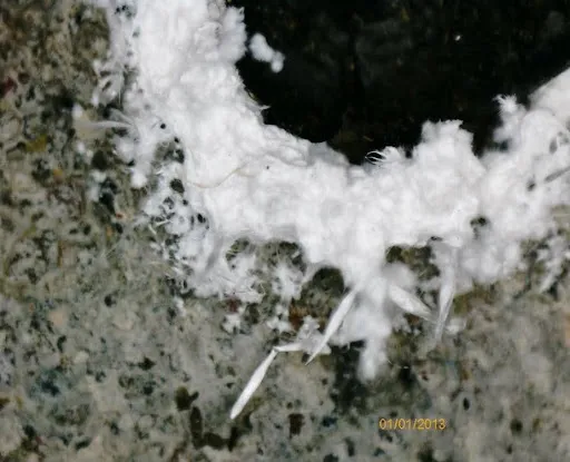 eflorescență la microscop electronic