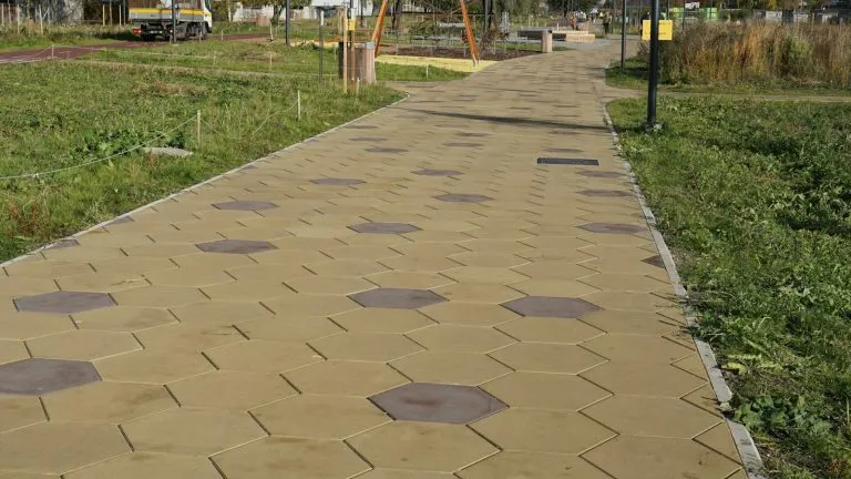 Alee din pavele hexagonale prin gazon
